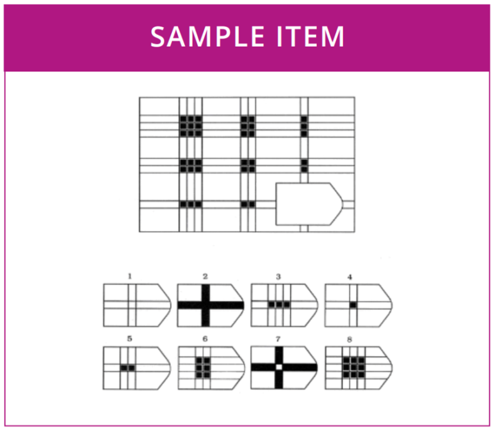 pearson critical thinking test