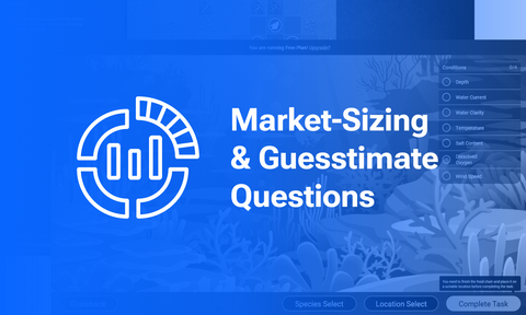 Market-Sizing & Guesstimate Questions version 2.0