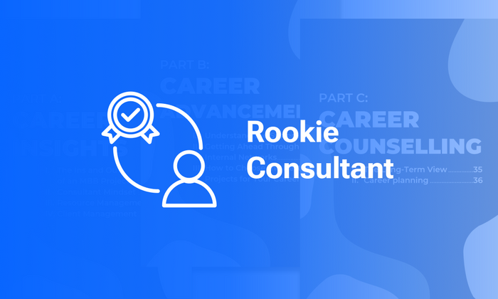 Thumbnail of Rookie Consultant