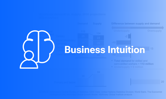 Thumbnail of Business Intuition