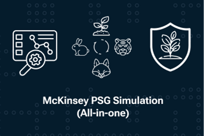 Thumbnail of McKinsey Solve Simulation (All-in-One)