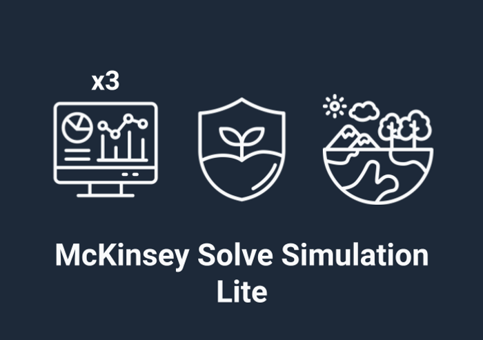 Thumbnail of McKinsey Solve Lite