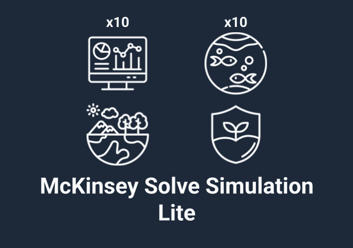 Thumbnail of McKinsey Solve Lite