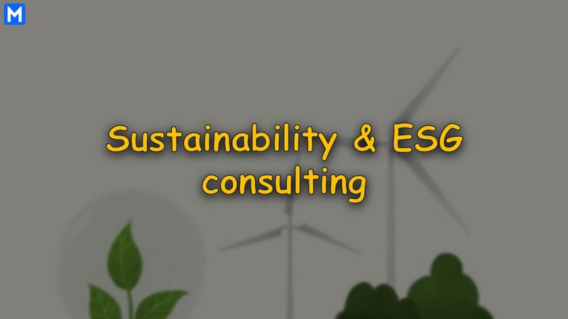 Sustainability & ESG consulting title