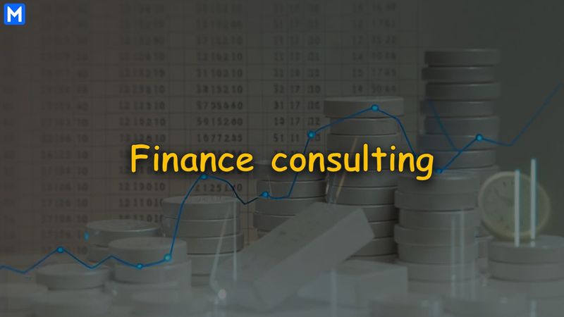 Finance consulting title