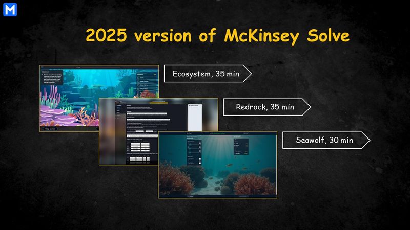 The three games of McKinsey Solve: Ecosystem, Redrock and Seawolf