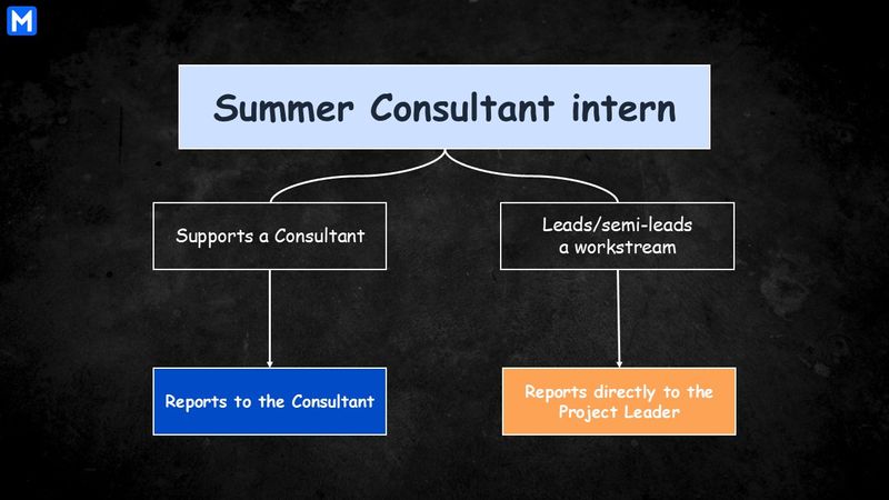 The roles and report lines of a Summer Consultant intern