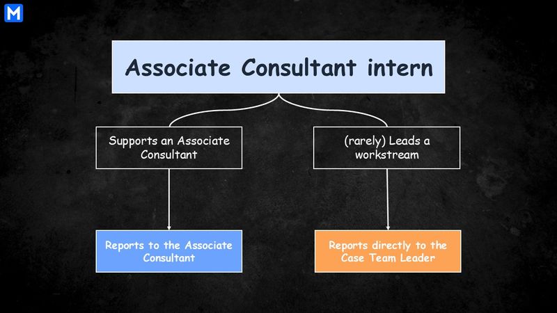 The roles and report lines of an Associate Consultant intern