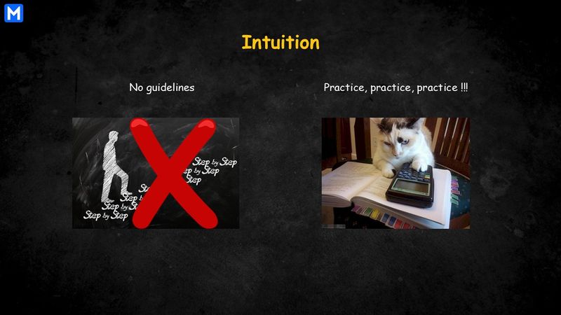 No step-by-step guidelines for INT questions. A cat lying on a book to practice, practice, practice!!!